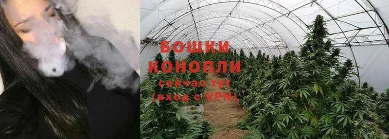 Бошки Шишки Ganja  что такое   Игарка 